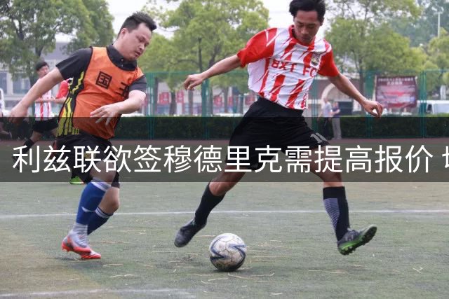 利兹联欲签穆德里克需提高报价 切尔西转寻新目标