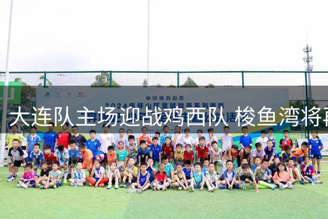 大连队主场迎战鸡西队 梭鱼湾将再现蓝色海洋