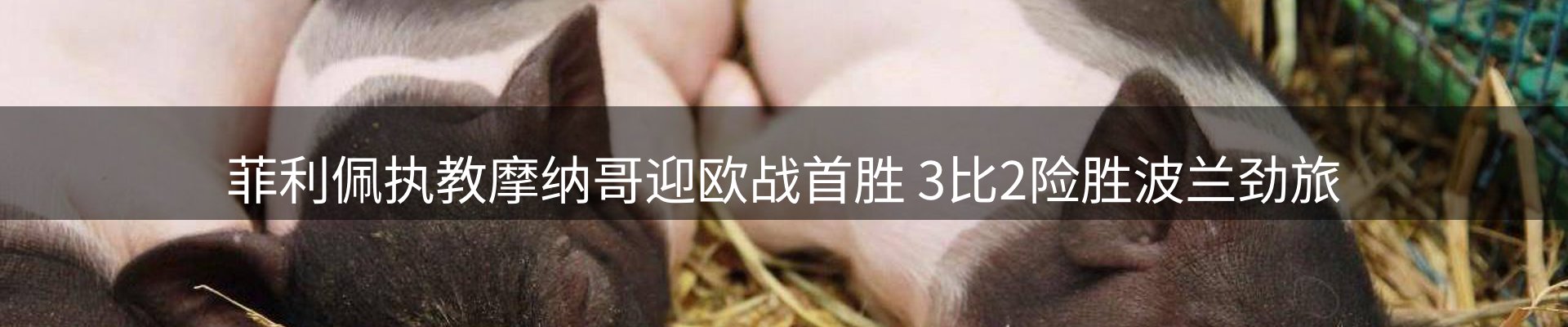 球盟会要闻