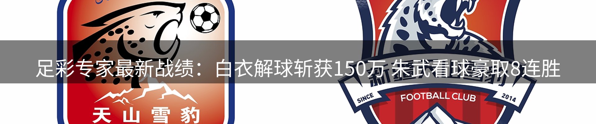 球盟会要闻