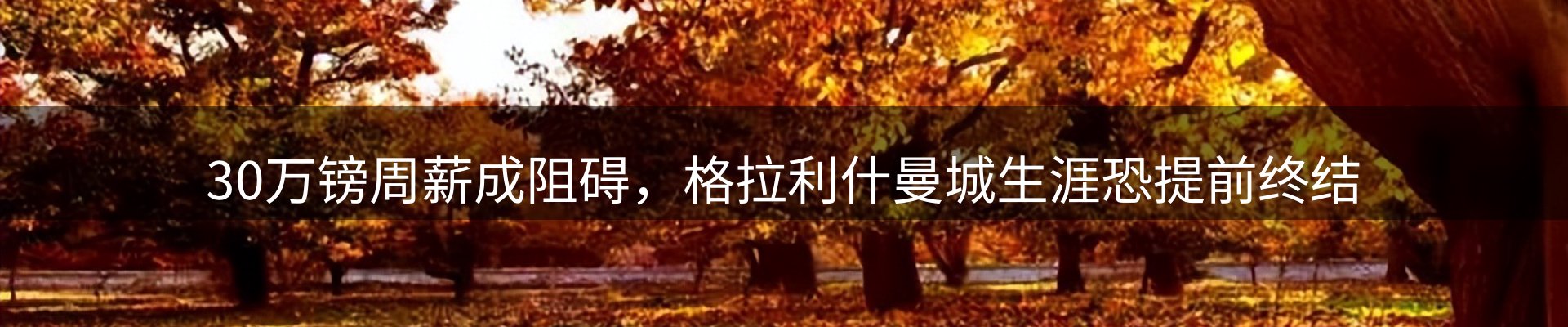 球盟会要闻