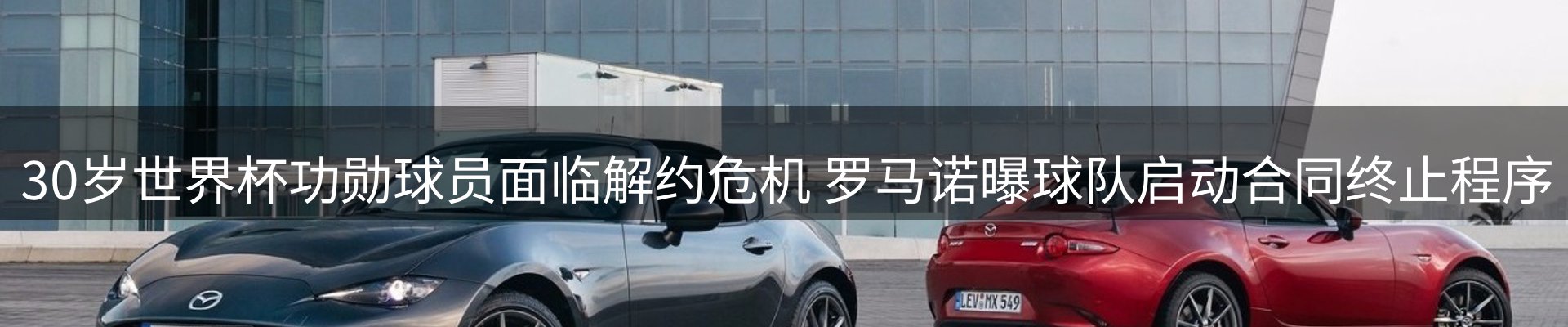 球盟会要闻